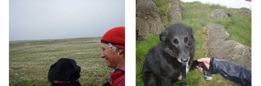 running with dogs 4.jpg